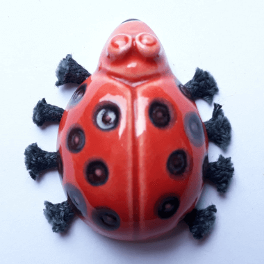 Lady Bug