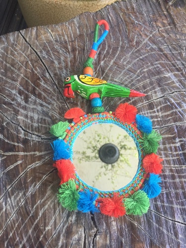 Parrot Mirror Hanging